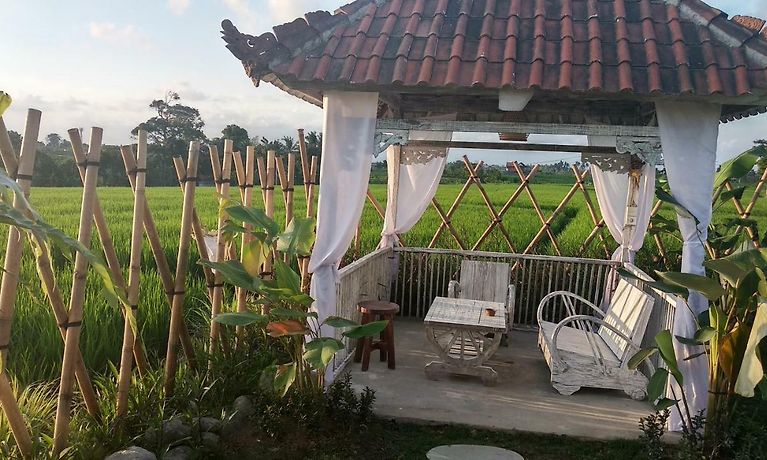 wijaya guest house canggu